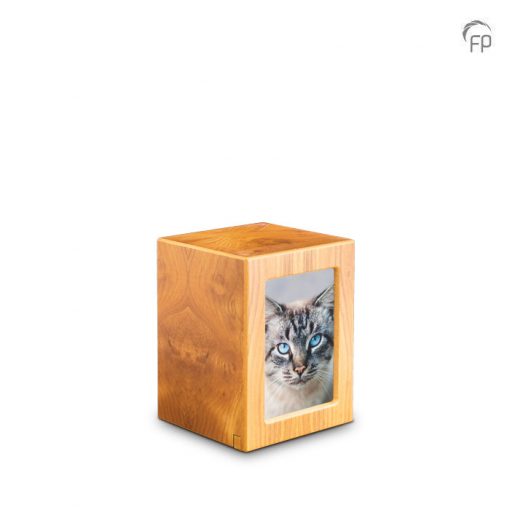 wooden urn with foto natural wooden urn with foto natural
