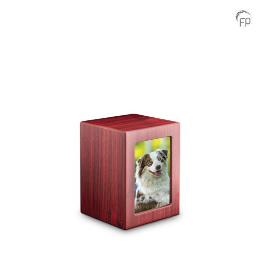 wooden urn with foto mahogany wooden urn with foto mahogany