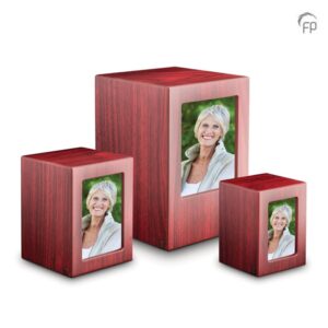 import placeholder for 728079022