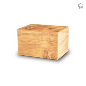 import placeholder for 728079614
