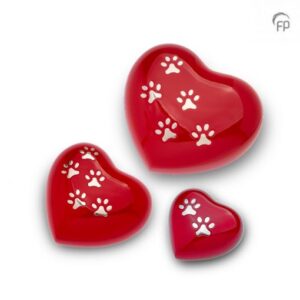 import placeholder for 728865881