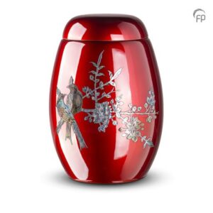 import placeholder for 748844899